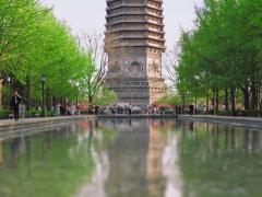 北京慈寿寺塔照片
